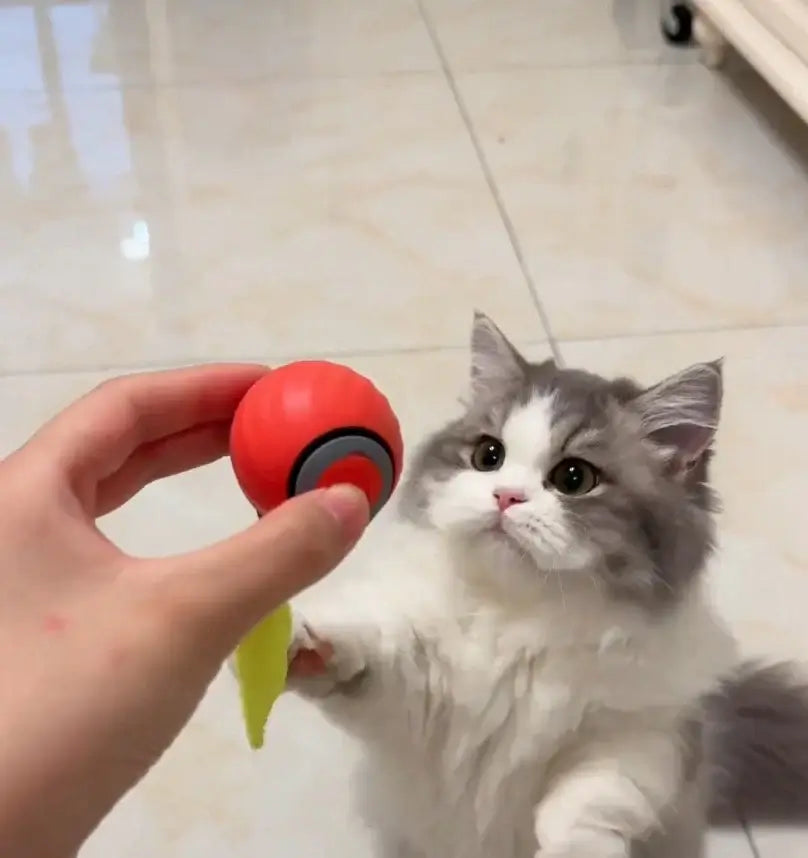 Novacat 2.0-Jouet interactif pour chat