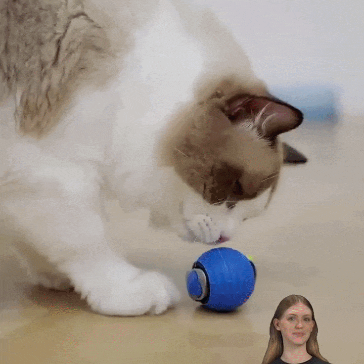 Novacat 2.0-Jouet interactif pour chat