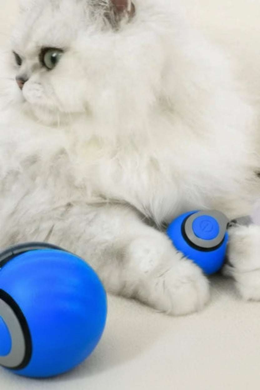 Novacat 2.0-Jouet interactif pour chat -30 %