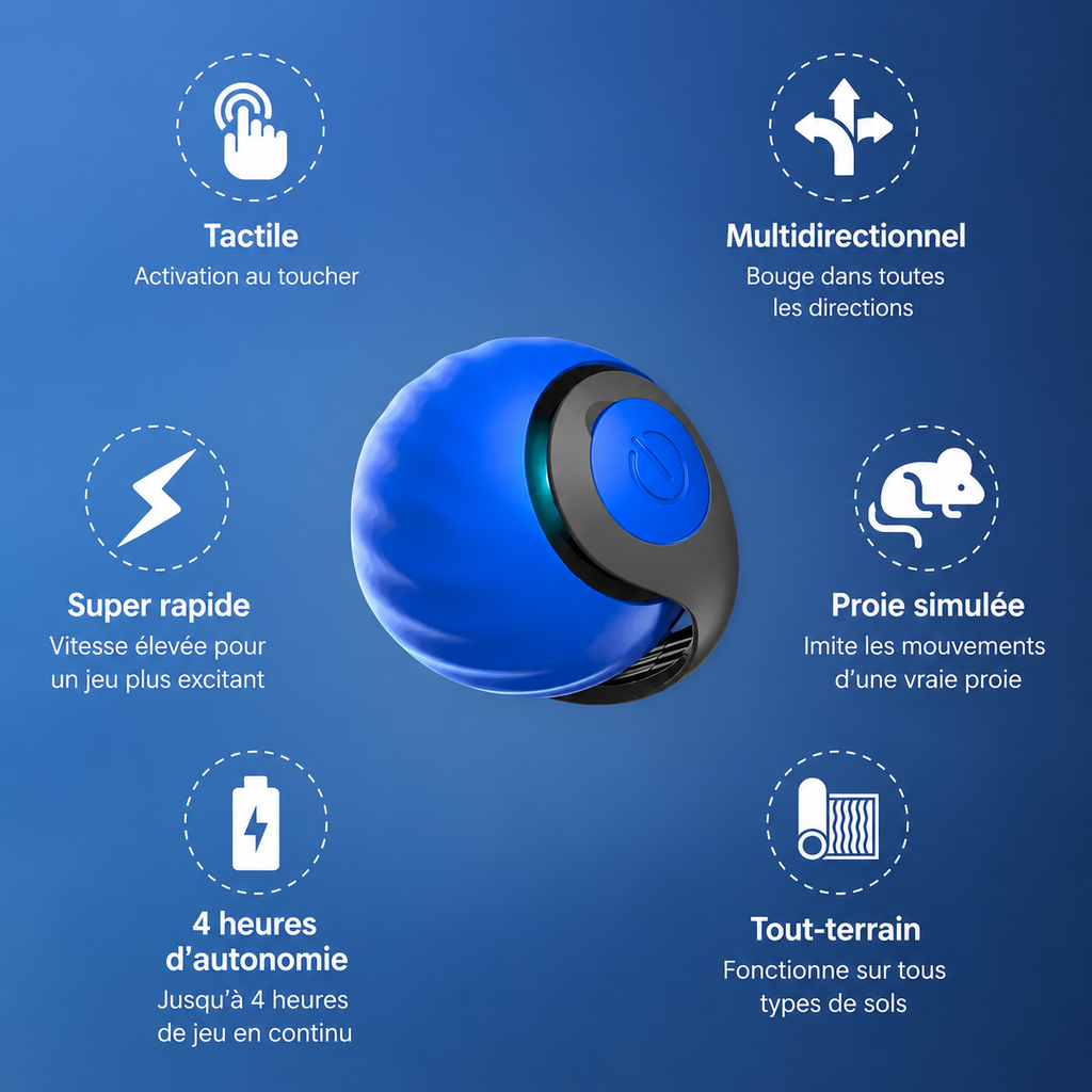 Novacat 2.0-Jouet interactif pour chat