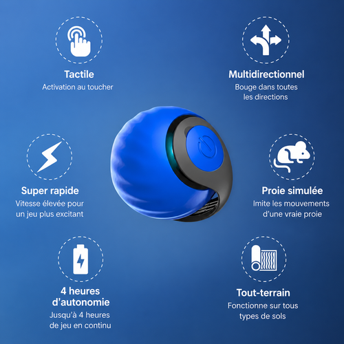Novacat 2.0-Jouet interactif pour chat -30 %