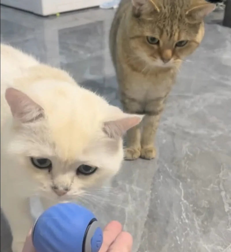 Novacat 2.0-Jouet interactif pour chat