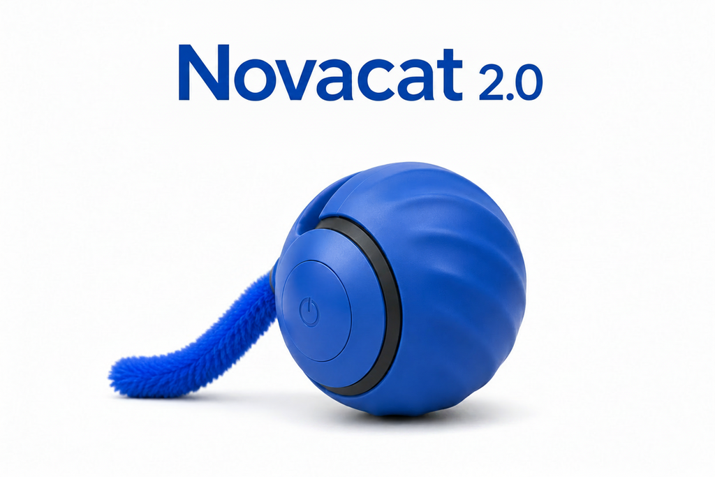 Novacat 2.0-Jouet interactif pour chat
